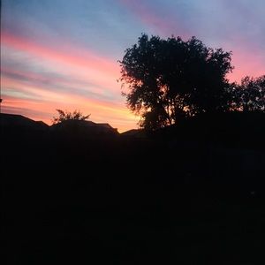 Meet your Posher, Lily